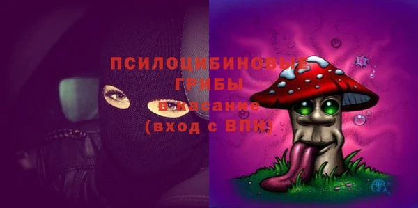 кокс Баксан